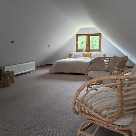 Apartament Sowia Dolina - *
