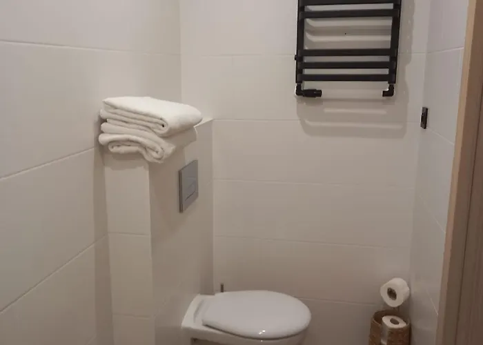 Sowia Dolina - Apartment